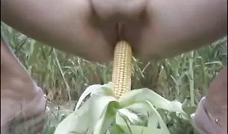 மயிரடர்ந்த மாணவர்கள் குழு செக்ஸ்