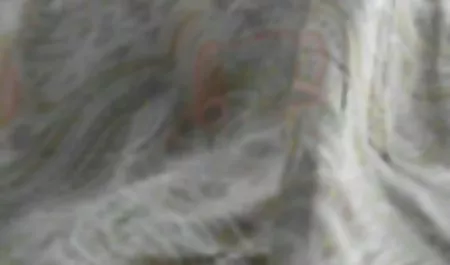 யான்கீஸ் இந்திய pornovisione ஜான்சன் பிரஞ்சு