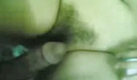 பீட்டர் வடக்கு மற்றும் டெரி ஆபாச ஸ்டூ மூழ்காளி